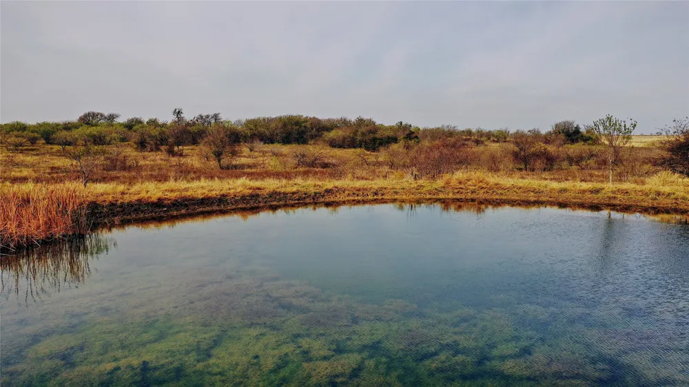 21481 SW County Road 4040 Dawson, TX 76639