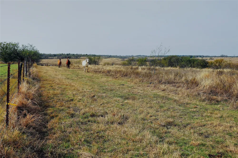 21481 SW County Road 4040 Dawson, TX 76639