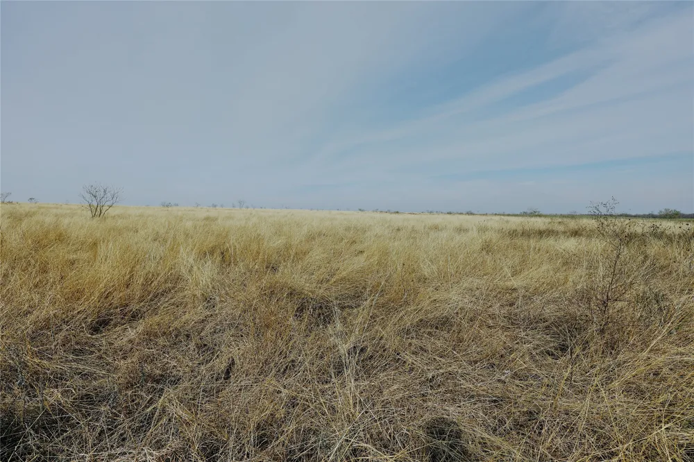 21481 SW County Road 4040 Dawson, TX 76639
