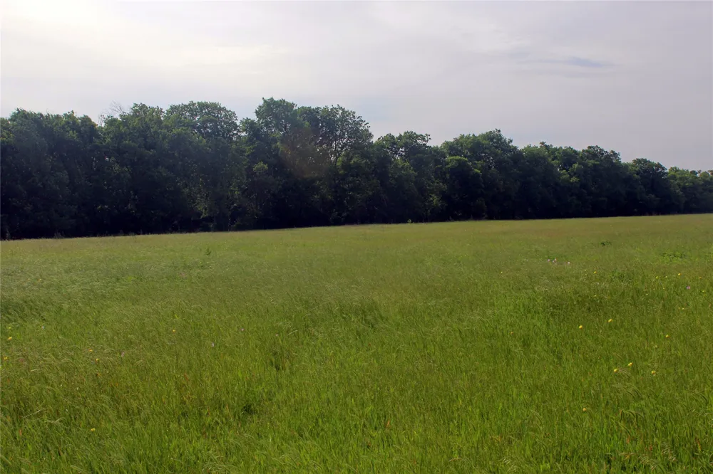 21481 SW County Road 4040 Dawson, TX 76639