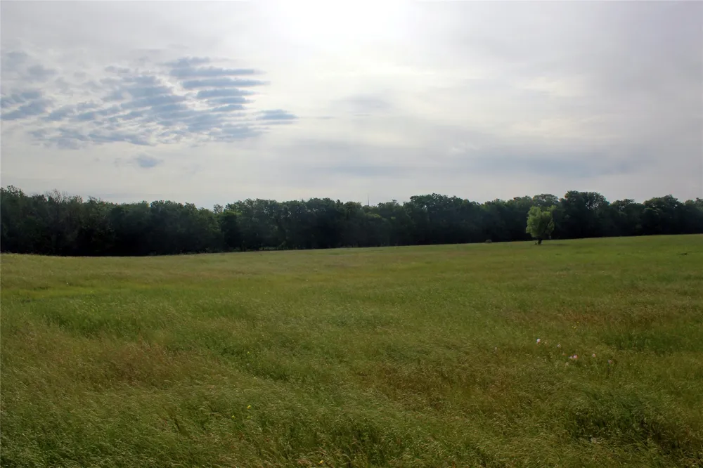 21481 SW County Road 4040 Dawson, TX 76639