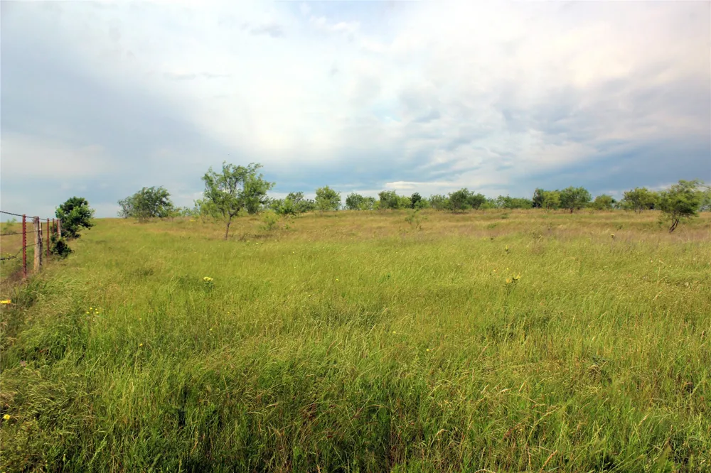 21481 SW County Road 4040 Dawson, TX 76639