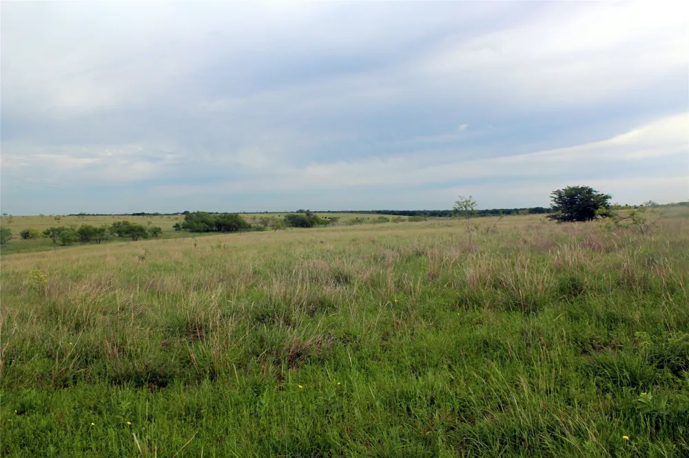21481 SW County Road 4040 Dawson, TX 76639