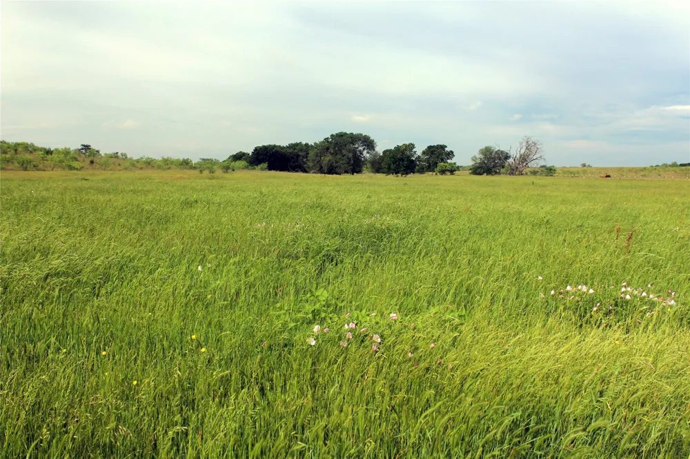 21481 SW County Road 4040 Dawson, TX 76639