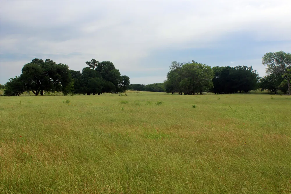 21481 SW County Road 4040 Dawson, TX 76639