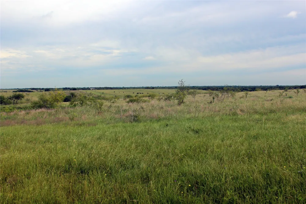 21481 SW County Road 4040 Dawson, TX 76639