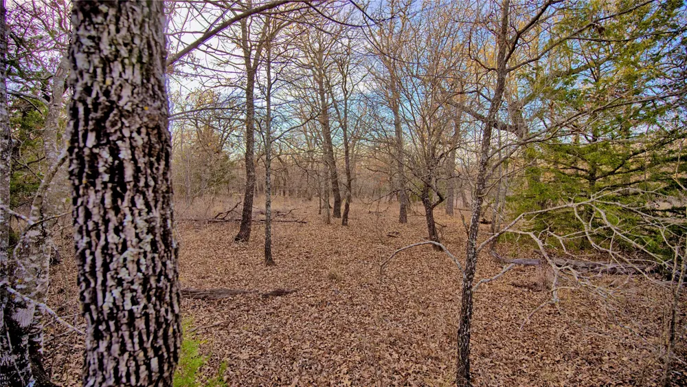 1943 Lakeridge Sunset, TX 76270