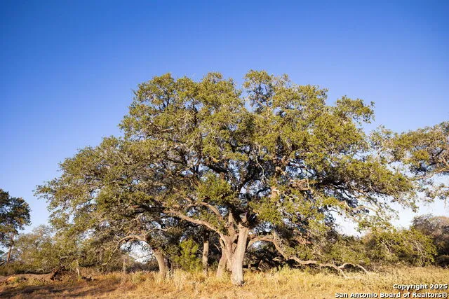 552 PR Arroyo Vista Lot 41 Somerset, TX 78069