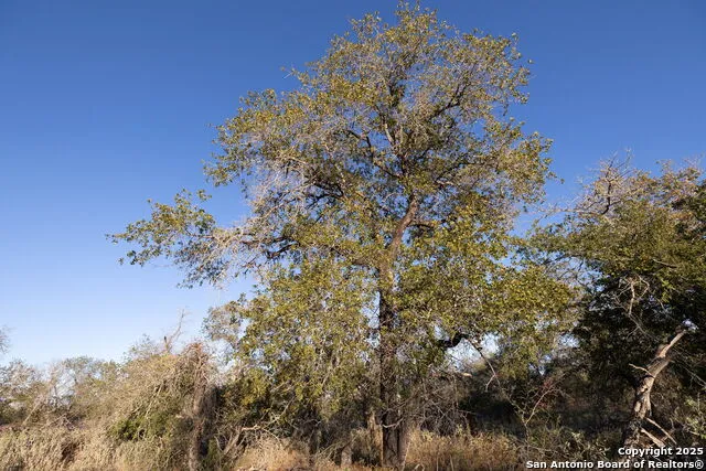 552 PR Arroyo Vista Lot 41 Somerset, TX 78069