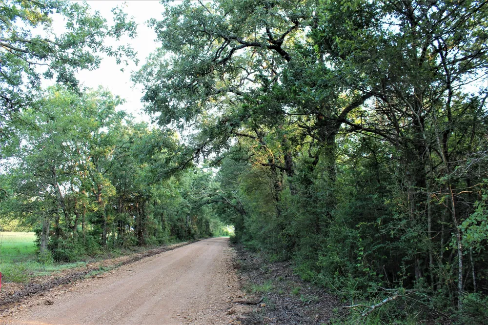 29 Co Rd 271A Cameron, TX 76520