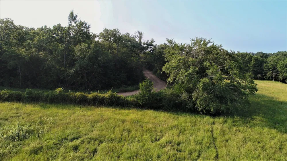 29 Co Rd 271A Cameron, TX 76520