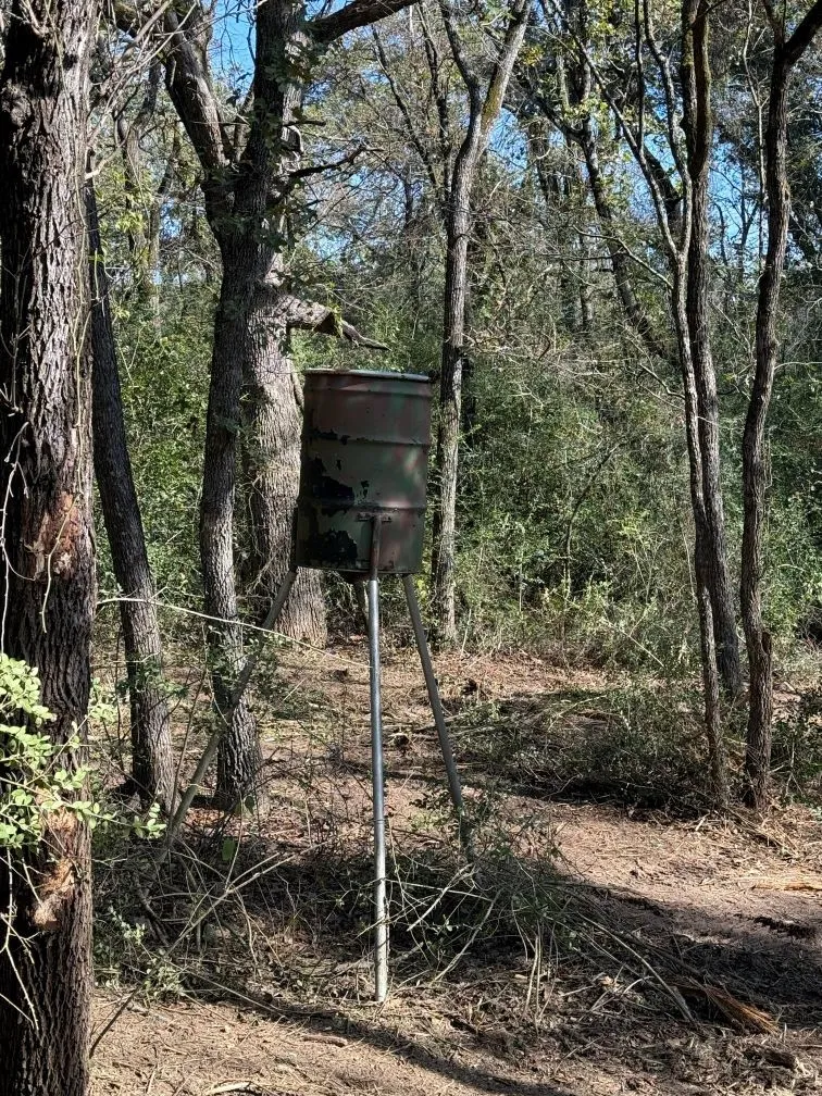 29 Co Rd 271A Cameron, TX 76520