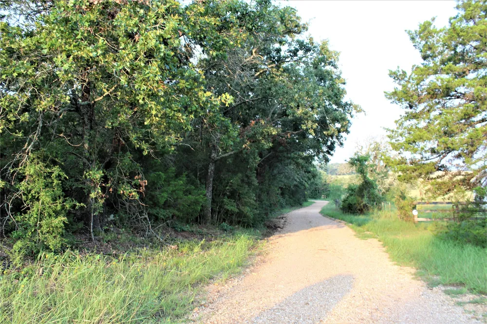 29 Co Rd 271A Cameron, TX 76520