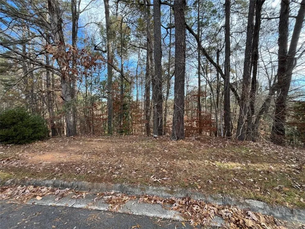 1120 Carlo Court South Fulton, GA 30331