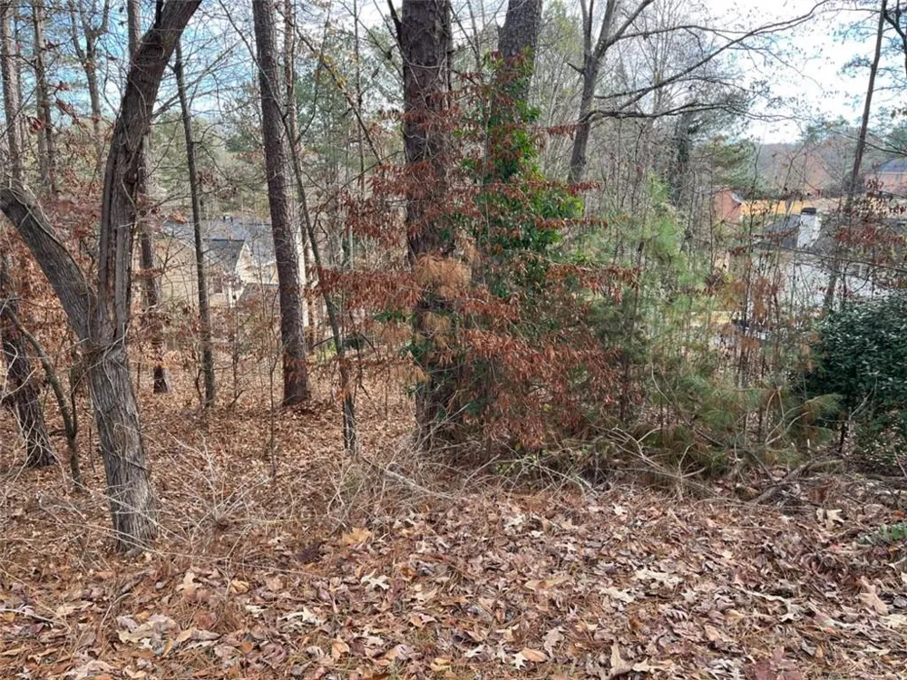 1120 Carlo Court South Fulton, GA 30331