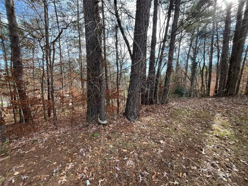 1120 Carlo Court South Fulton, GA 30331