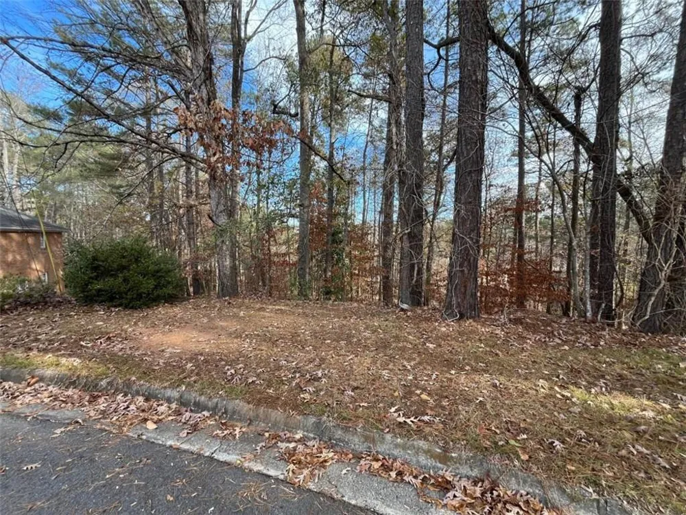 1120 Carlo Court South Fulton, GA 30331