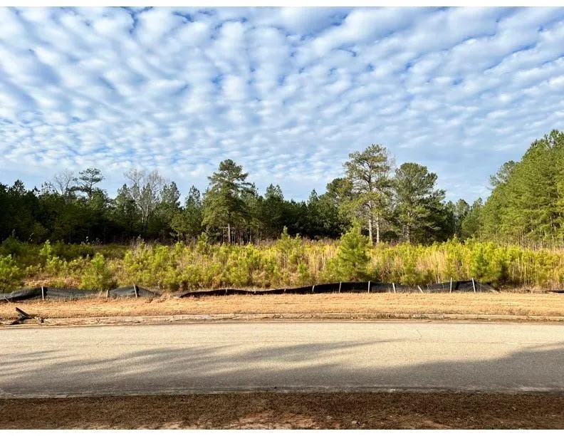 4249 Giverney Boulevard Fairburn, GA 30213