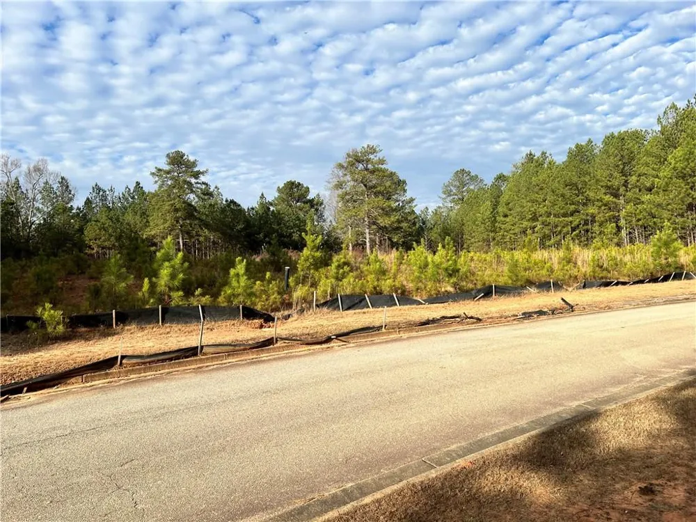 4249 Giverney Boulevard Fairburn, GA 30213