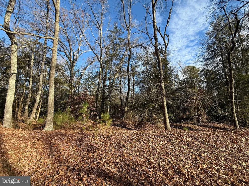 WAYCROSS PLACE Newburg, MD 20664