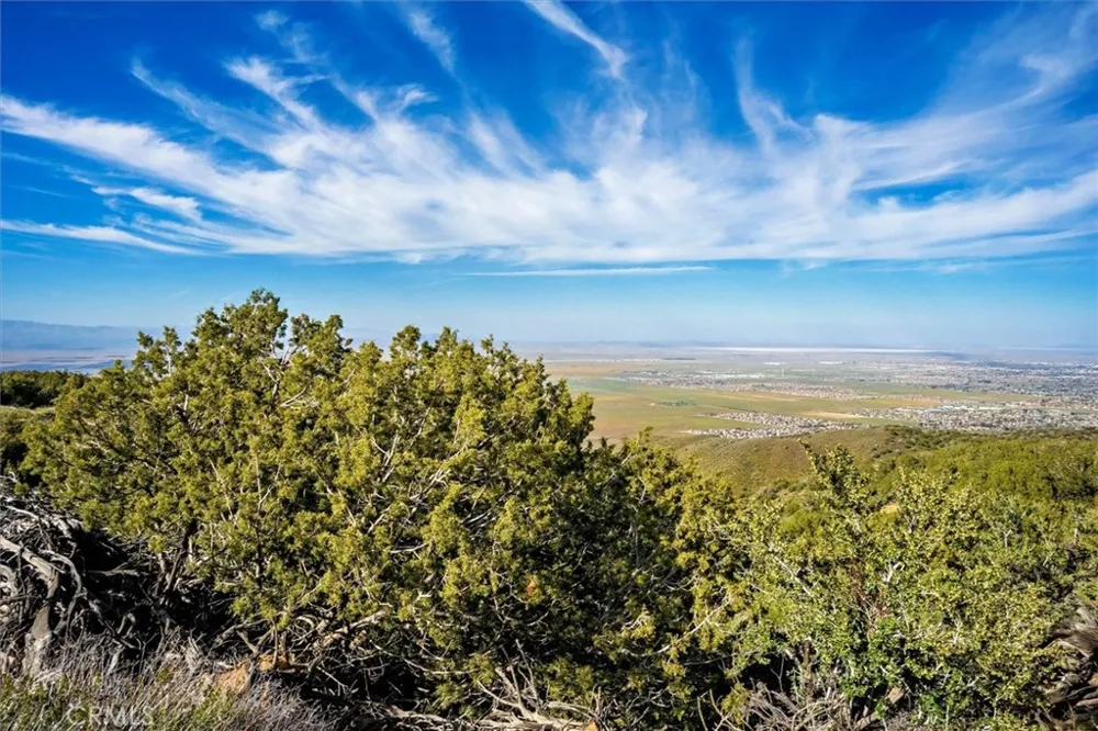 48725 Shallow Springs Road Leona Valley, CA 93551