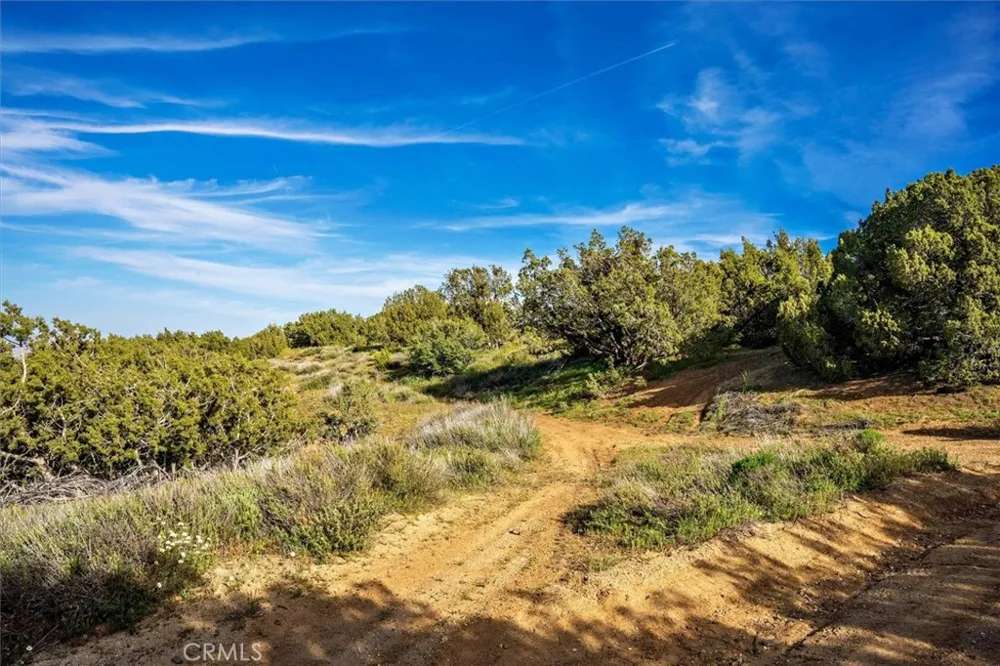 48725 Shallow Springs Road Leona Valley, CA 93551