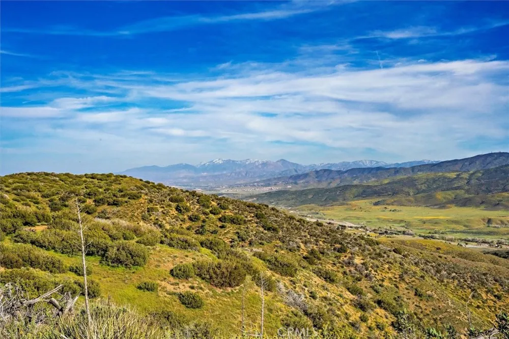 48725 Shallow Springs Road Leona Valley, CA 93551
