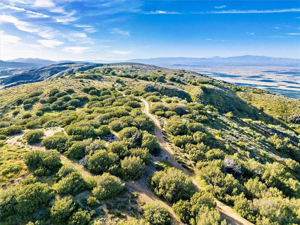 48725 Shallow Springs Road Leona Valley, CA 93551