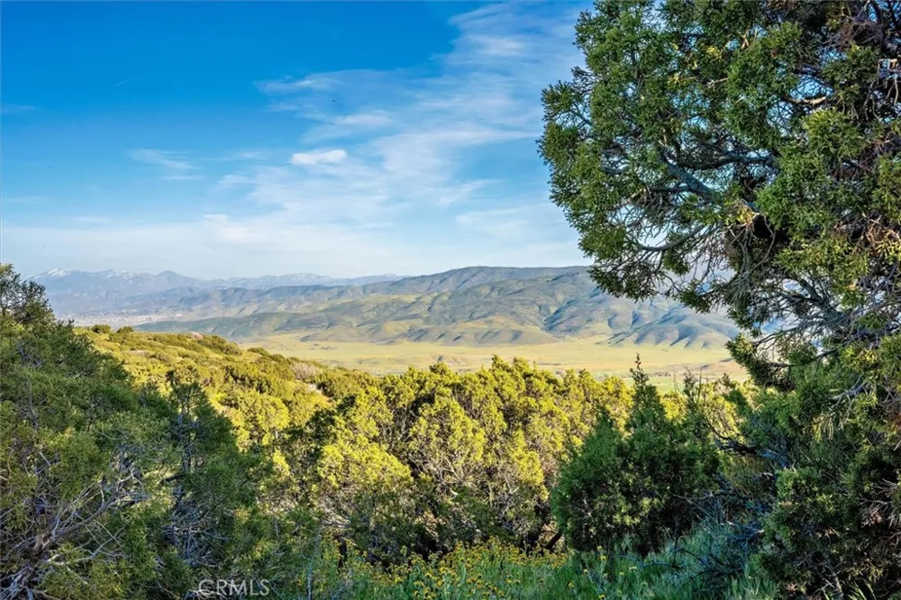 48725 Shallow Springs Road Leona Valley, CA 93551