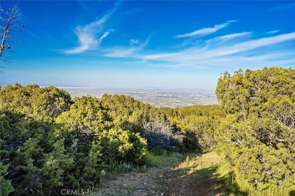 48725 Shallow Springs Road Leona Valley, CA 93551