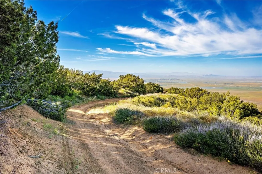 48725 Shallow Springs Road Leona Valley, CA 93551