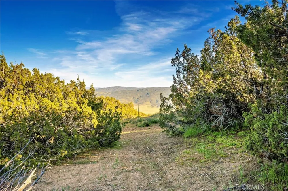 48725 Shallow Springs Road Leona Valley, CA 93551