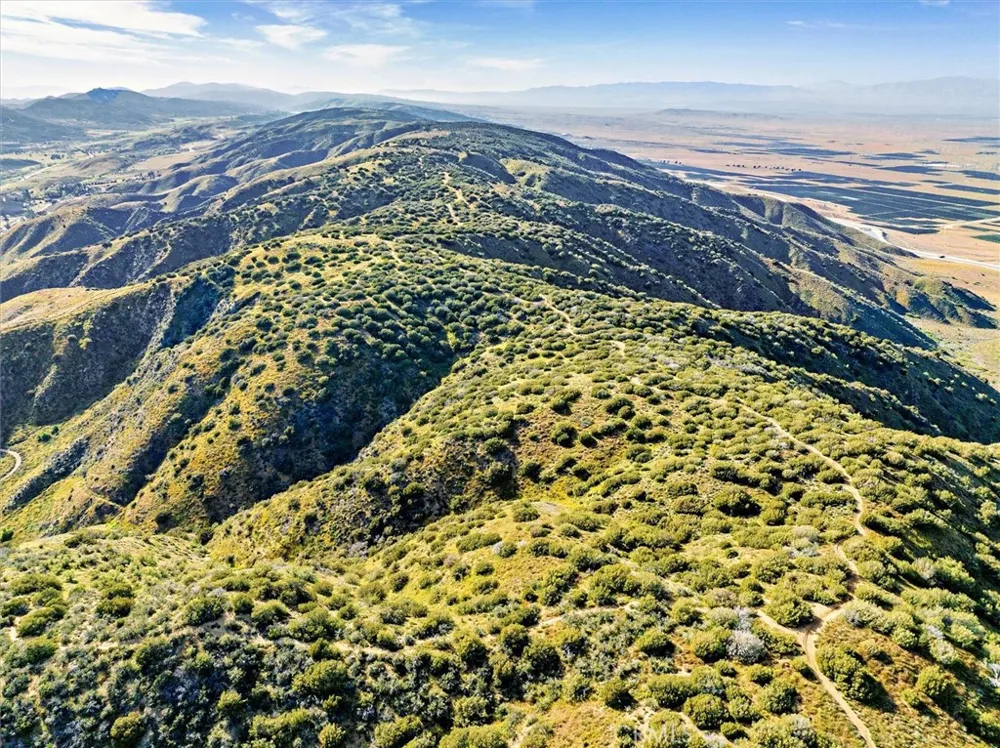 48725 Shallow Springs Road Leona Valley, CA 93551