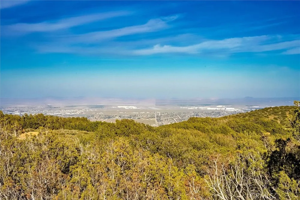 48725 Shallow Springs Road Leona Valley, CA 93551