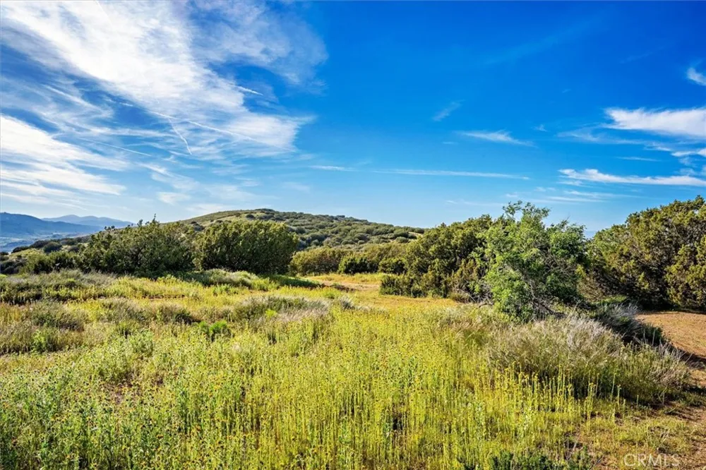 48725 Shallow Springs Road Leona Valley, CA 93551