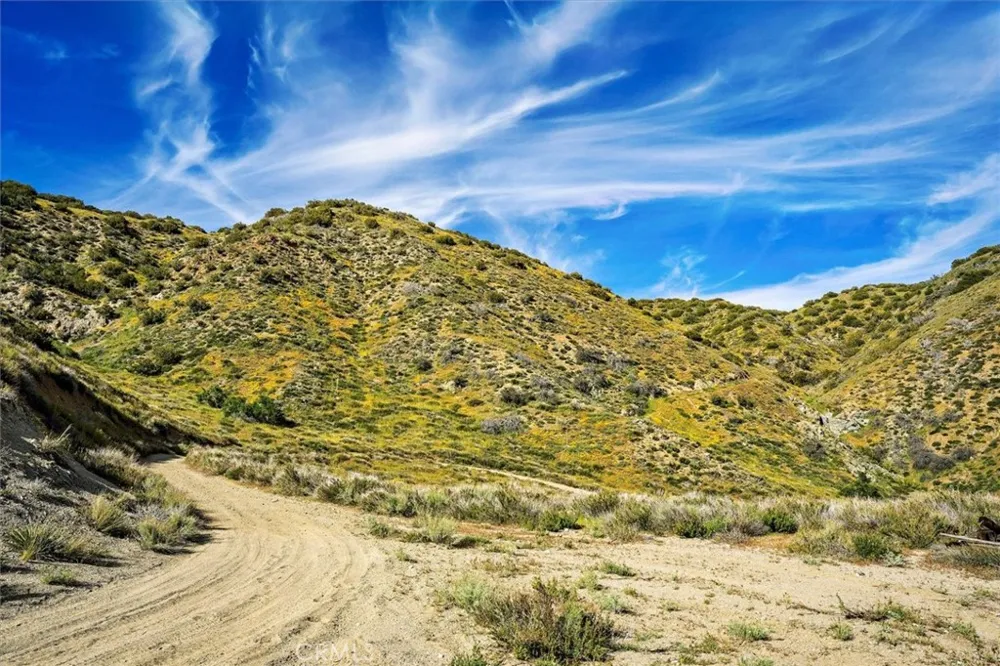 48725 Shallow Springs Road Leona Valley, CA 93551