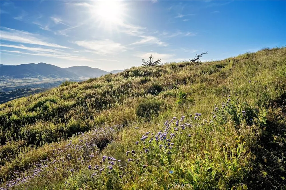 48725 Shallow Springs Road Leona Valley, CA 93551