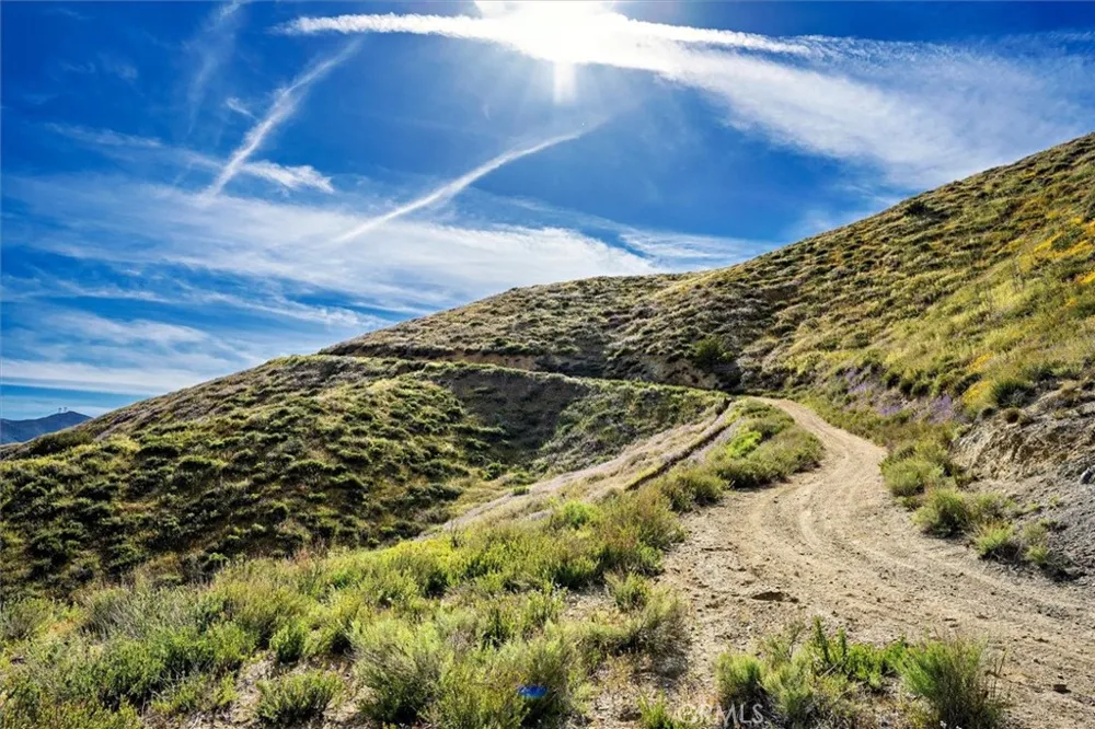 48725 Shallow Springs Road Leona Valley, CA 93551