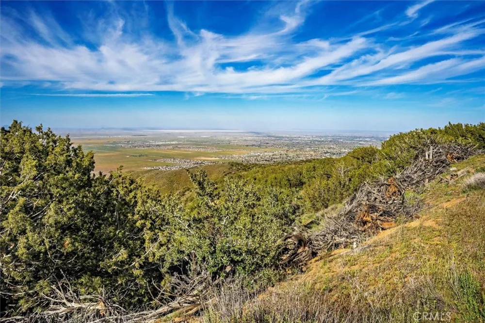 48725 Shallow Springs Road Leona Valley, CA 93551