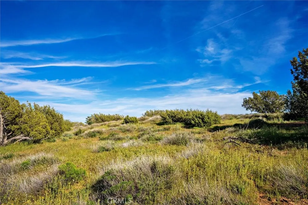 48725 Shallow Springs Road Leona Valley, CA 93551