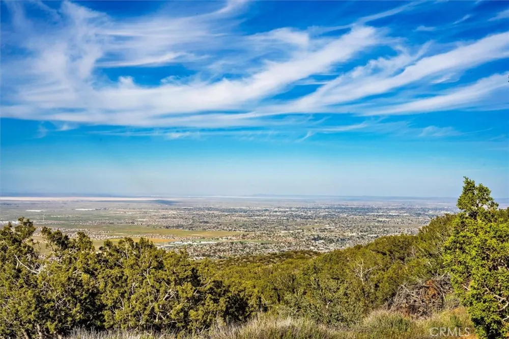 48725 Shallow Springs Road Leona Valley, CA 93551