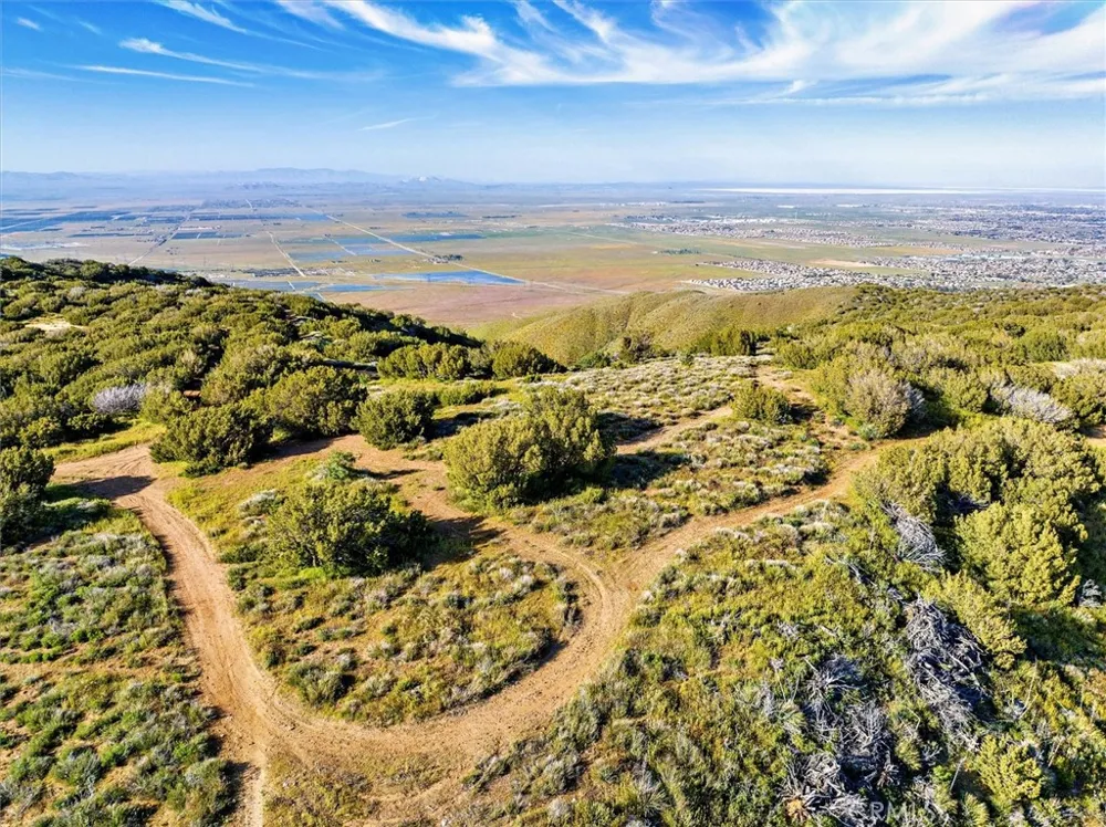48725 Shallow Springs Road Leona Valley, CA 93551
