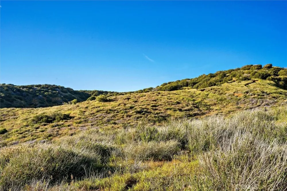 48725 Shallow Springs Road Leona Valley, CA 93551