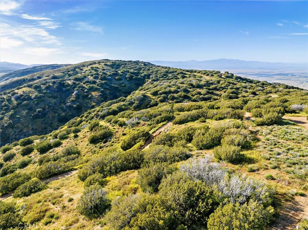 48725 Shallow Springs Road Leona Valley, CA 93551