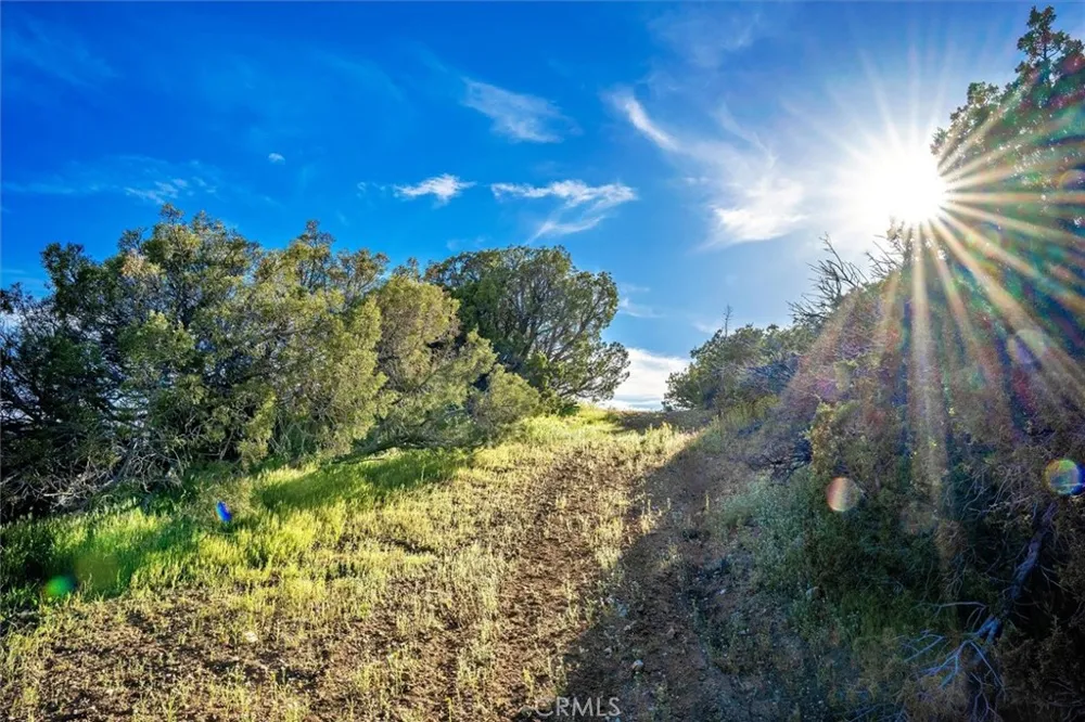 48725 Shallow Springs Road Leona Valley, CA 93551