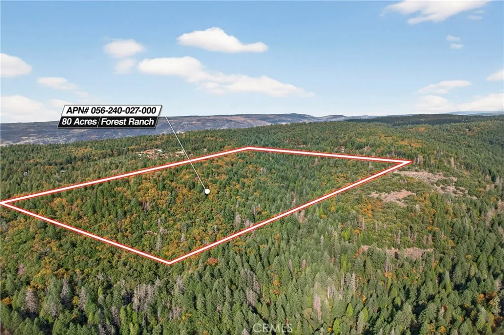 Burgundy Lane Forest Ranch, CA 95942