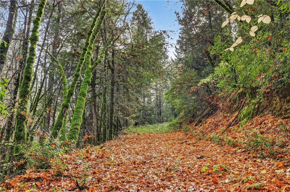 Burgundy Lane Forest Ranch, CA 95942