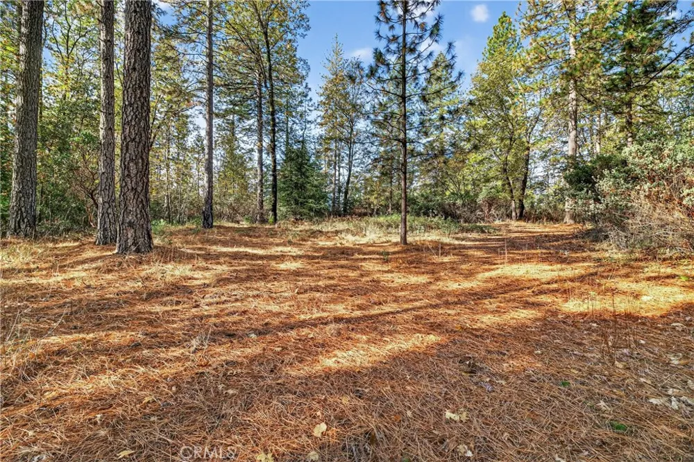 Burgundy Lane Forest Ranch, CA 95942