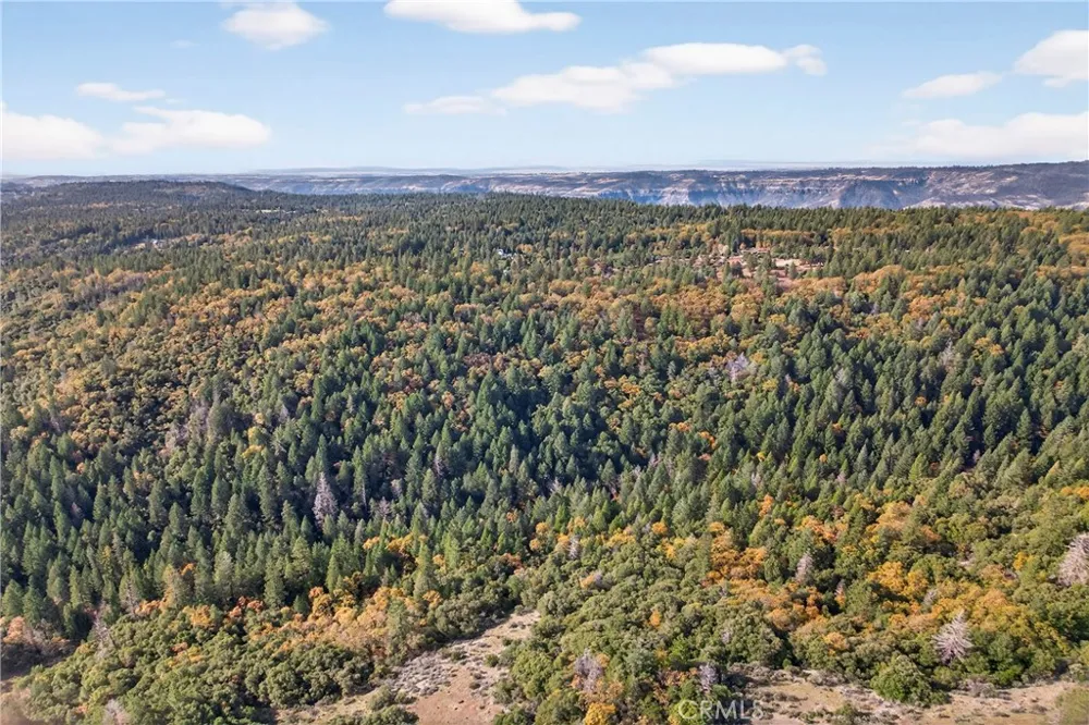 Burgundy Lane Forest Ranch, CA 95942