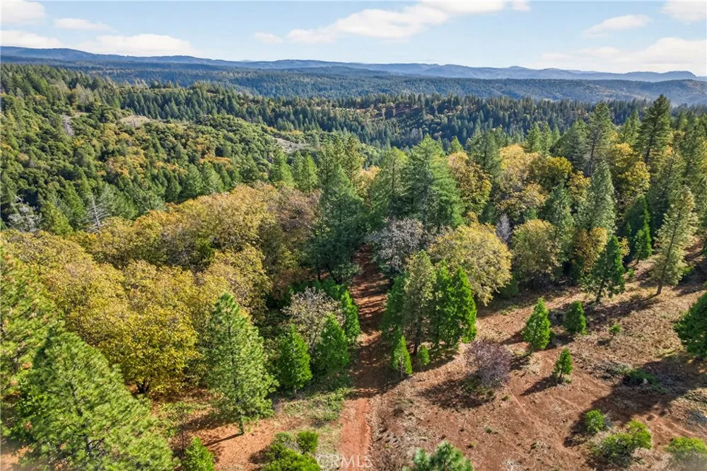 Burgundy Lane Forest Ranch, CA 95942